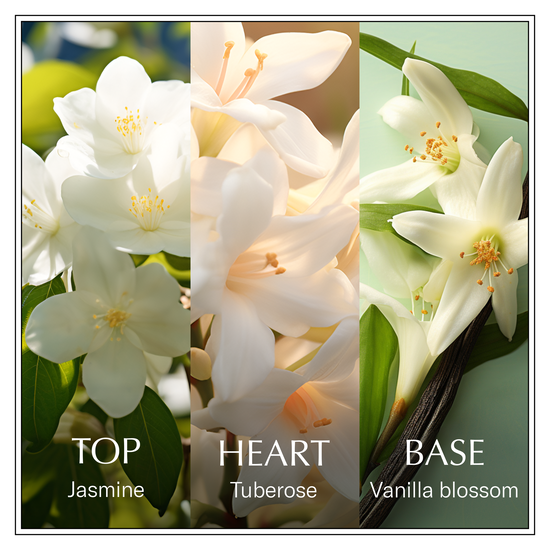 Chanson d'Eau Jasmine EdT 100 ml