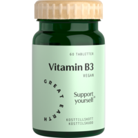 Great Earth Vitamin B3- 500 mg 60 tabletter