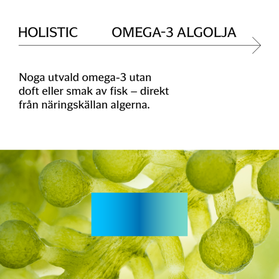 Holistic Omega-3 Algolja 60 kapslar