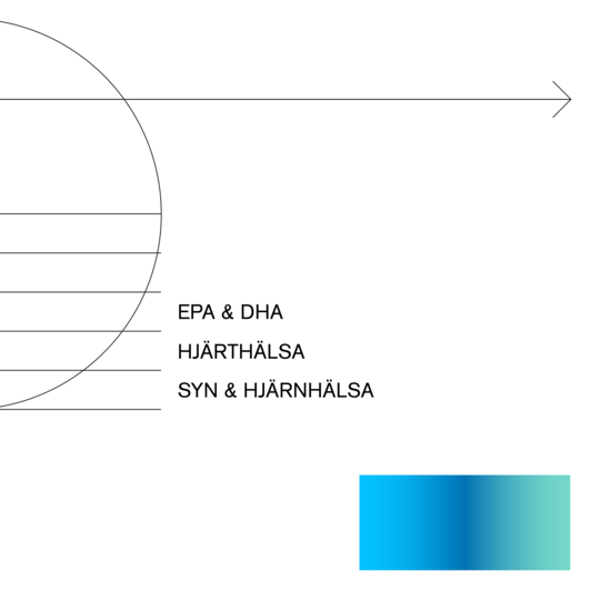 Holistic Omega-3 Algolja 60 kapslar
