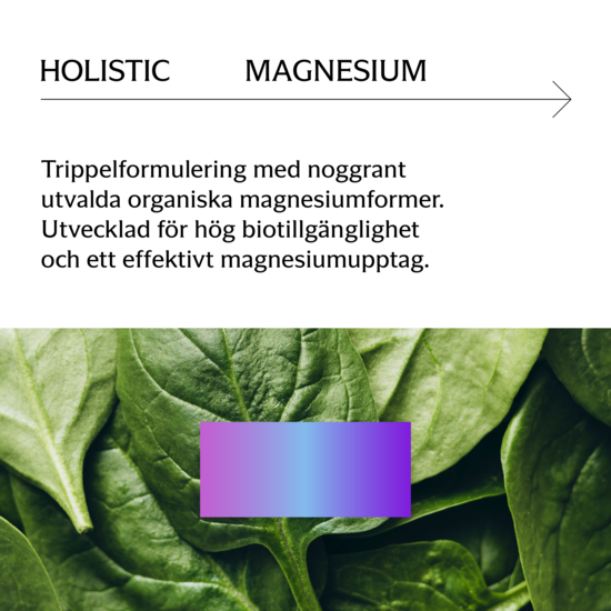 Holistic Magnesium 120 mg 90 kapslar