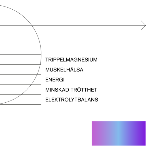 Holistic Magnesium 120 mg 90 kapslar