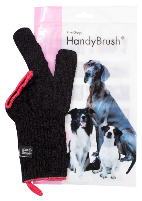 HandyBrush hundtandborste röd