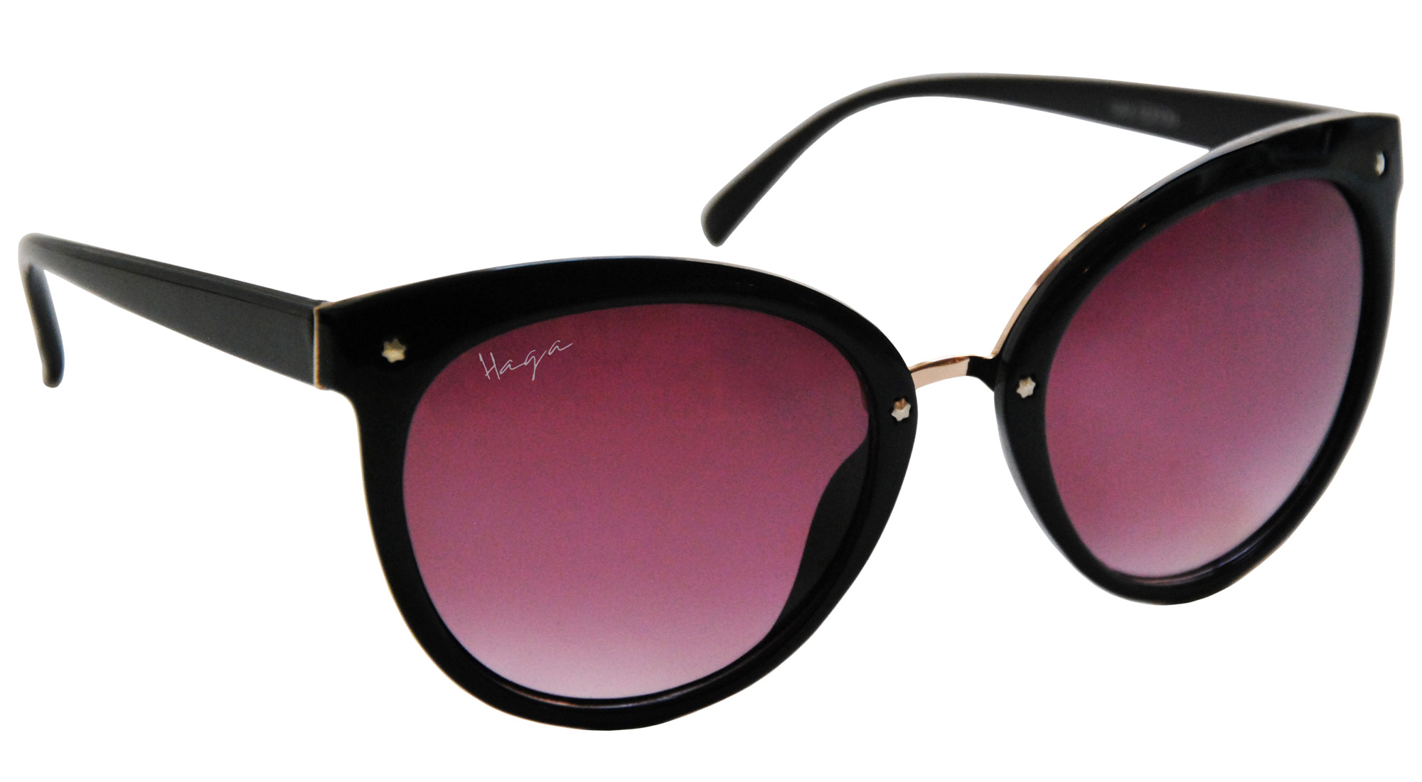 Haga Eyewear Solglasögon Paris Polarized Shiny Black