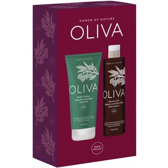 Oliva Body Julkit 2019