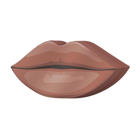 IsaDora Perfect Lip Kit Bare Beauty