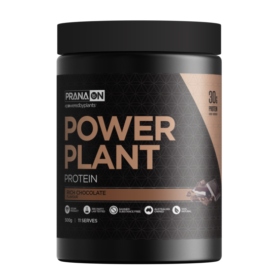 PranaOn Power Plant Protein Rich Chocolate 500 g