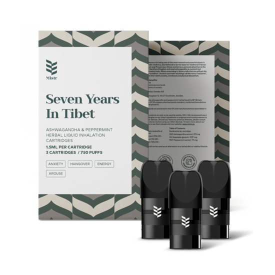 Mistr Seven Years in Tibet