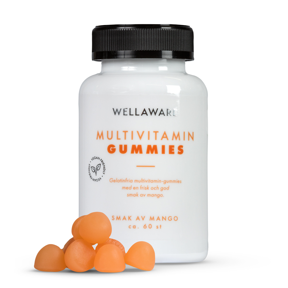 WellAware Multivitamin Gummies 60 st