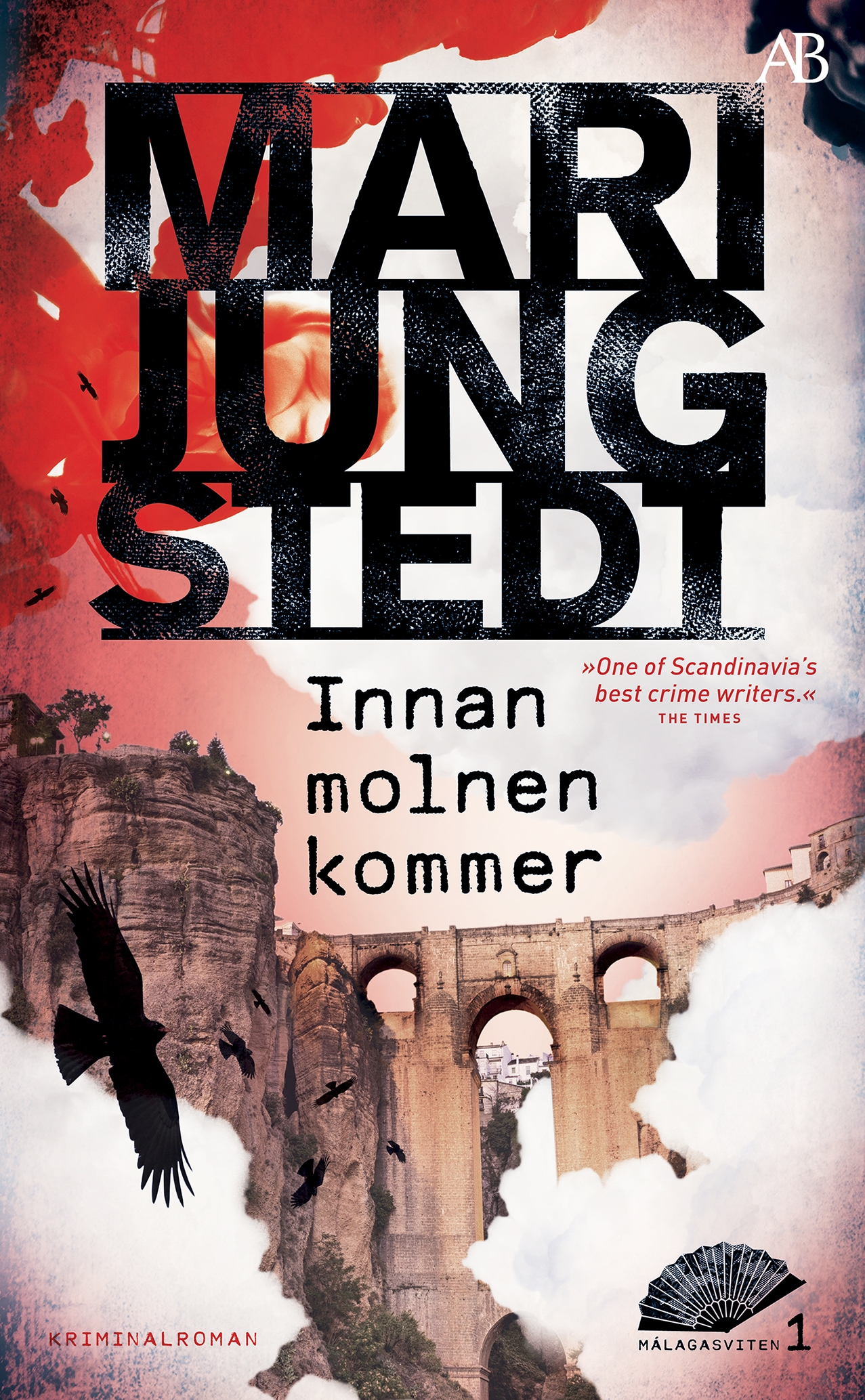 Innan molnen kommer - Mari Jungstedt