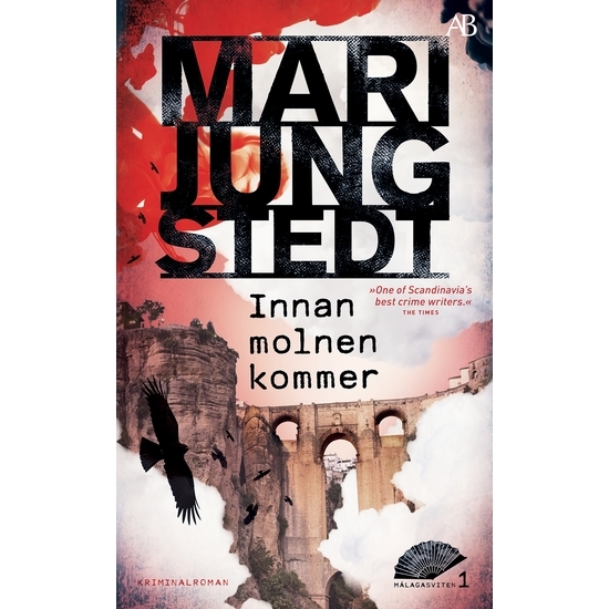 Innan molnen kommer - Mari Jungstedt