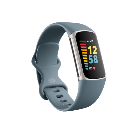 Fitbit Charge 5 Steel Blue / Platina