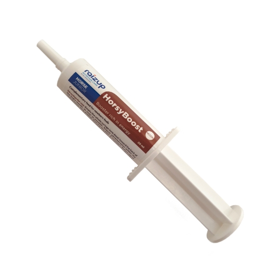 RaizUp Horsyboost 20 ml