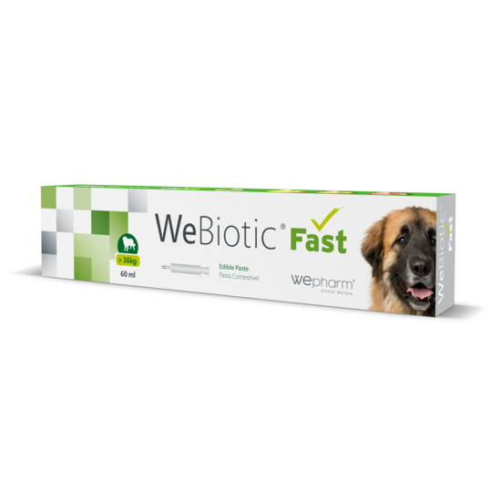 Wepharm WeBiotic Fast >36 kg