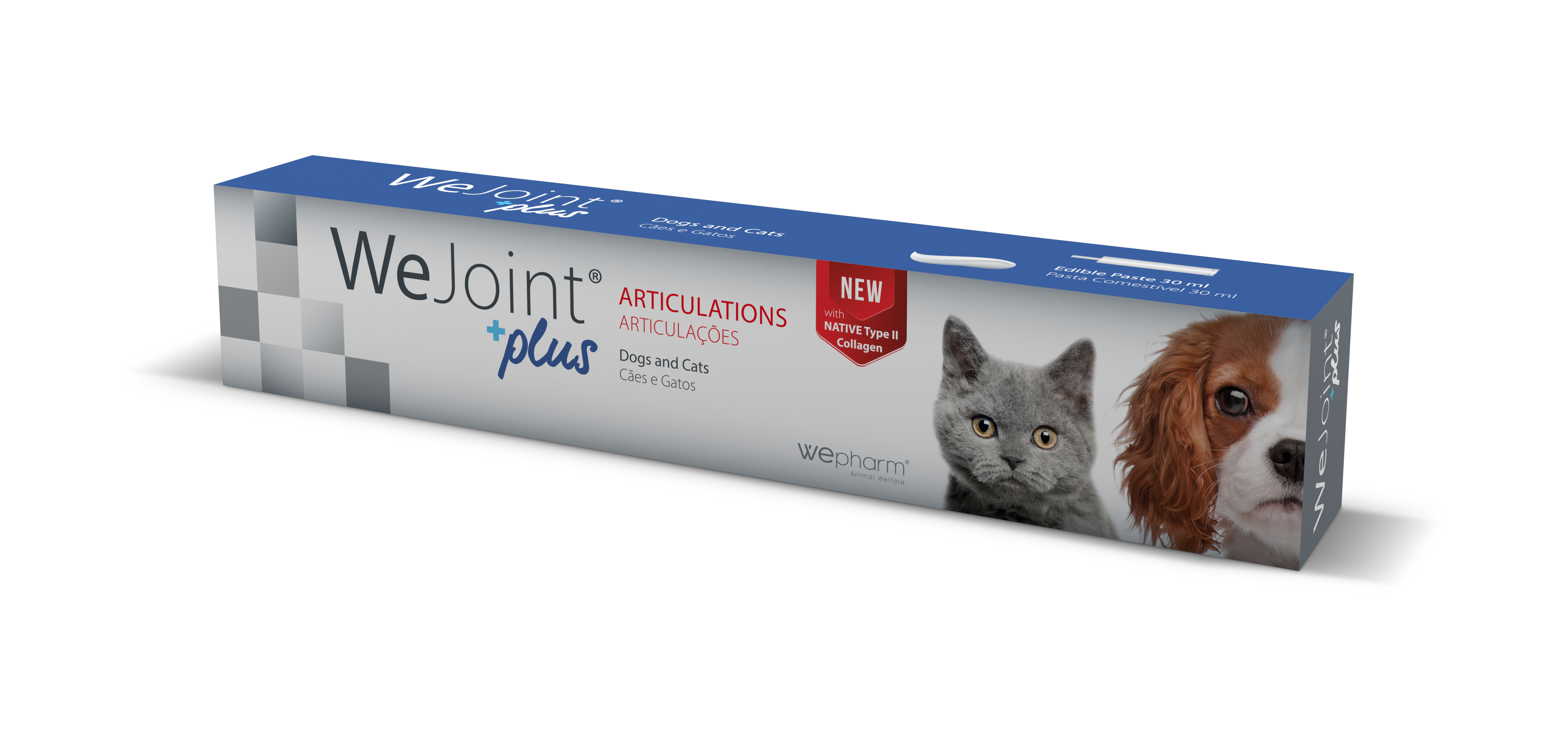 Wepharm WeJoint Plus Paste 30 ml