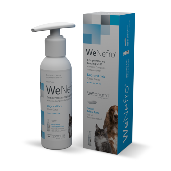 Wepharm WeNefro Pasta 100 ml