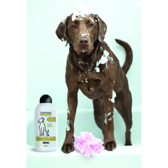 WAHL Oatmeal Shampo koncentrat 750 ml