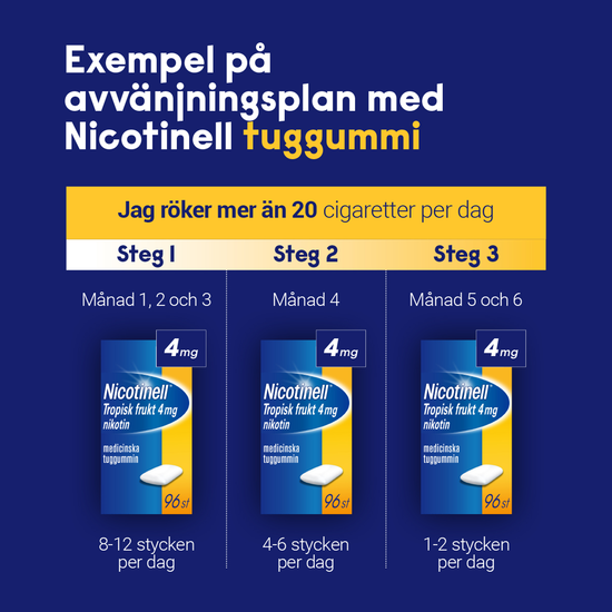 Nicotinell Fruit medicinskt tuggummi 2 mg 204 st