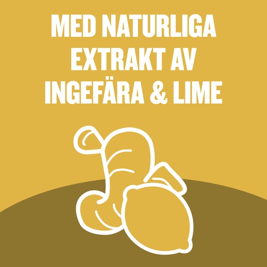 Listerine Fresh Ginger & Lime Munskölj 500 ml