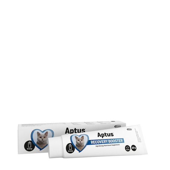 Recovery booster cat 60 g