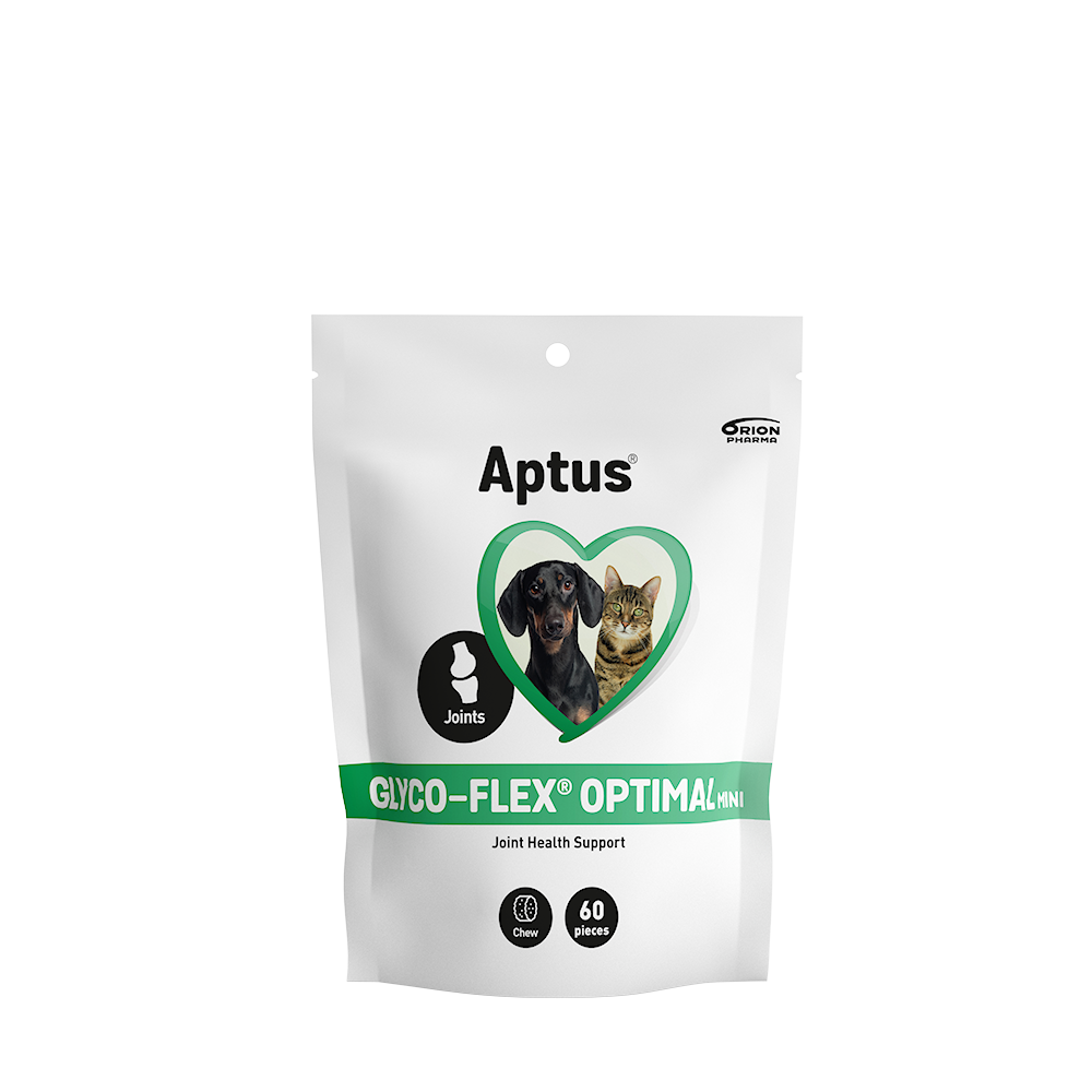 Aptus Glyco Flex optimal mini 60 st